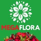 MegaFlora Доставка цветов в Старом Осколе