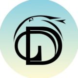 Графический дизайн•Инфографика•Презентации