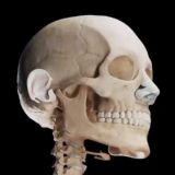 Dental, Implant, Oral and Maxillofacial Surgery Clinical Cases