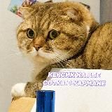 Kursbio ЕГЭ по биологии 2025