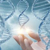 КНЯЗЕВА BIOHEALING ДЛЯ ЖЕНЩИН