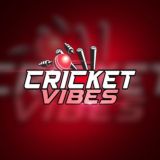 CRICKET VIBES 🏏