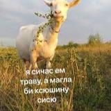я чмо