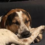 Odin ❤️