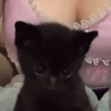 ПОПХ