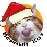 Мемный Кот😺