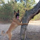 Lia_and_Ragnar
