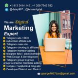 Telegram_Ads/Website Development/SEO/SMO/PPC/Facebook_Ads