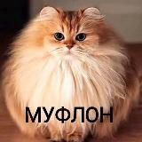 Сосать Хохлы III | Рейды на хохлов | CX | #СР