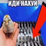  Мæрсочат | ЖУЖДИКИ