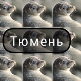Тюмень не Тюлень