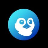AuroraPenguin_Official_Chat