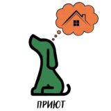 Собаки приюта ТиНАО в Малинках