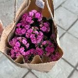 Blog_neizvestnoy