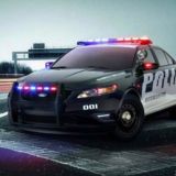 CRIME REPORT