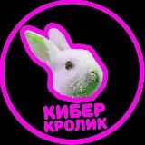 Курсы программирования - Кибер Кролик