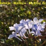 Blog Empleo - Málaga