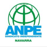Secundaria ANPE Navarra