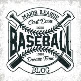 ⚾𝘽𝙖𝙨𝙚𝙗𝙖𝙡𝙡 𝘽𝙡𝙤𝙜⚾