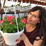 Дачный цветник