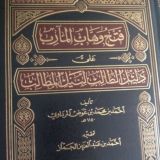 أحمد سيف