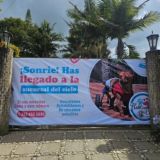 Perros en adopción