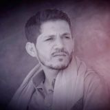 زوامل ابو مجلي ابومجلي2026