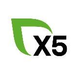 Просто X5