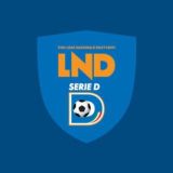 Serie D Official