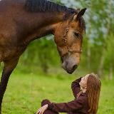🌾𝐸𝓎&𝒮𝑜🐴