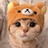 ANIMAL COUB