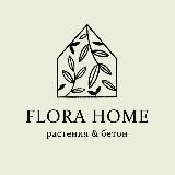 Флора дома: кашпо & растения