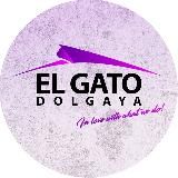 EL GATO DANCE CENTER | ТАНЦЫ | МИНСК | НОВОСТИ
