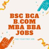 BSC BCA BCom MBA BBA Jobs