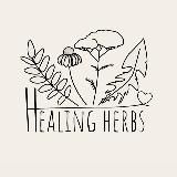 Целебные травы 🌿