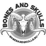 Bones and skulls. Таксидермия, черепа животных