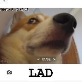 LAD