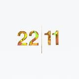 22|11 cosmetics