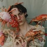 Франтова / дизайн интерьера / флиппинг / фотография
