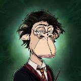 HARRY IN CRYPTO