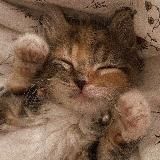 ~ 🌷biserrix🐾 ~