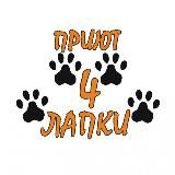 Донецкий приют 🐾4 ЛАПКИ🐾
