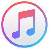 My Music 🎶 Моя Музыка
