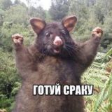 Мемчанские с лопаты