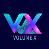 VOLUMEX/ PORTAL