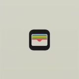 Apple Wallet Russia