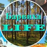 Чат Барвиха ИНФО