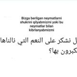 Islom Ali