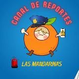 BTS REPORTES 🚨
