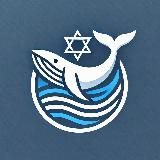 Бухта Левиафана 🐋